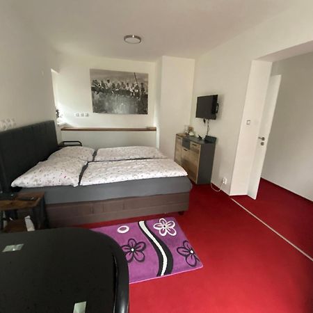 Homestay U Hanky Zdiby Eksteriør billede
