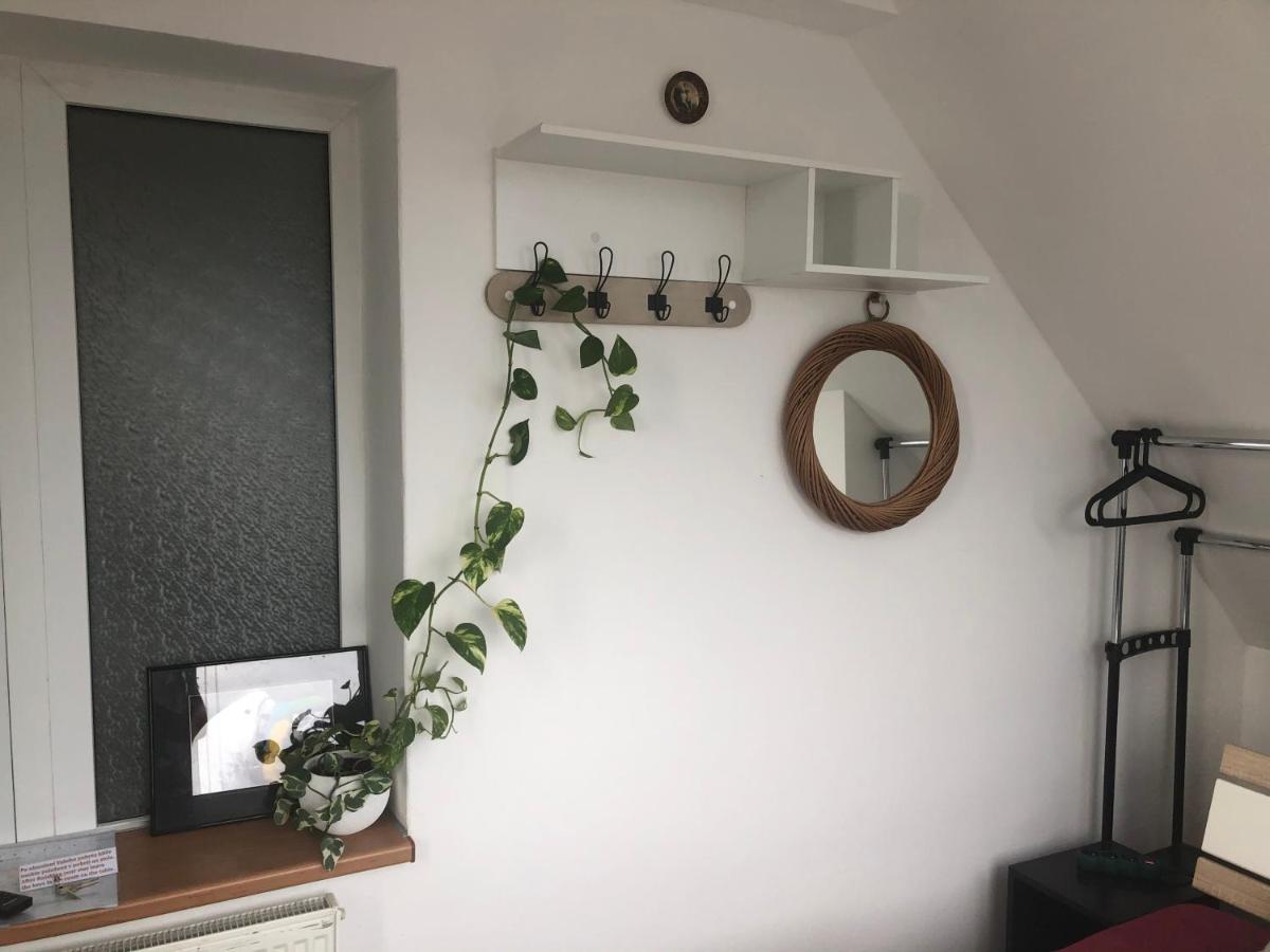 Homestay U Hanky Zdiby Eksteriør billede